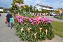 DSC_0056-small_1.jpg