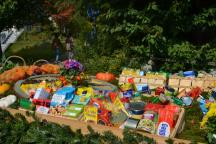 DSC_0170-small_1.jpg