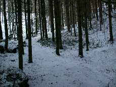 PICT6863-small_1.jpg