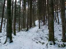 PICT6865-small_1.jpg
